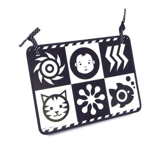 WIMMER FERGUSON DOUBLE FEATURE MIRROR