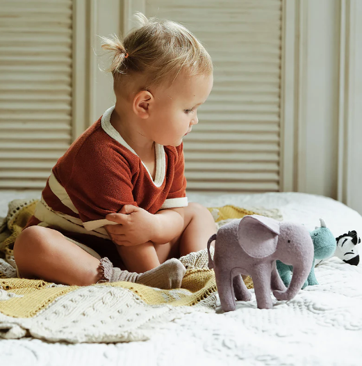 HOLDIE SAFARI ANIMALS