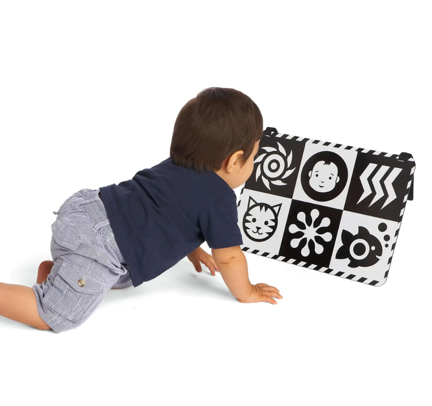 WIMMER FERGUSON DOUBLE FEATURE MIRROR