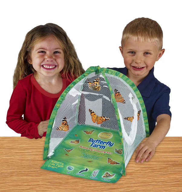 BUTTERFLY FARM GROWING KIT
