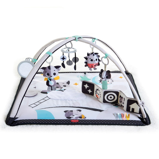 GYMINI MAT TOY WITH BOOK