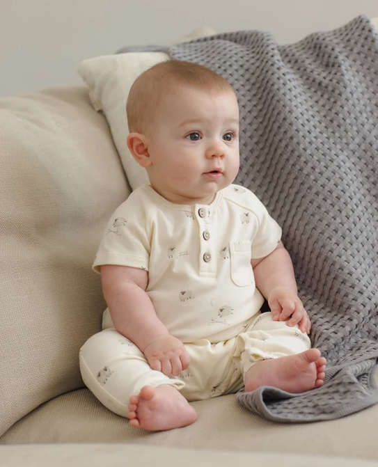 QUINCY MAE SHORT SLEEVE JUMPSUIT SHEEP