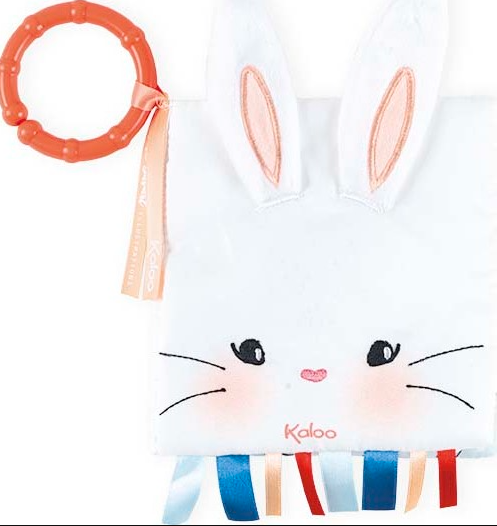 ACTIVITY BOOK - THE RABBIT IN LOVE