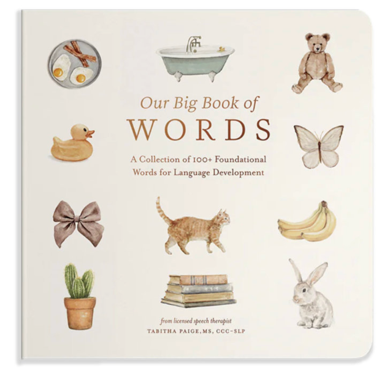 OUR BIG BOOK OF FIRST WORDS