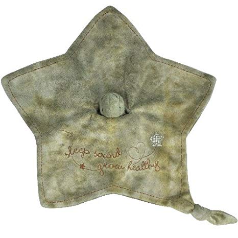 CLOUD B PEAKABOO LOVIE SAGE TURTLE