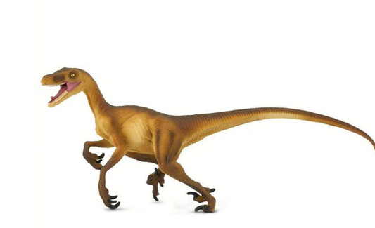 VELOCIRAPTOR