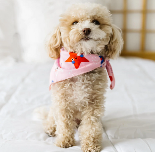 LITTLE SLEEPIES PINK STARS & STRIPES BAMBOO VISCOSE PET BANDANA
