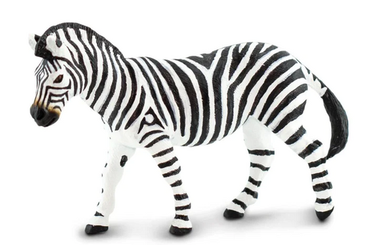 PLAINS ZEBRA