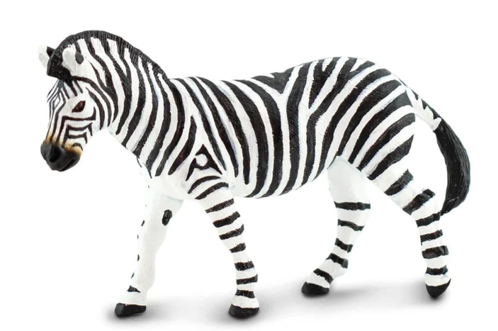 PLAINS ZEBRA