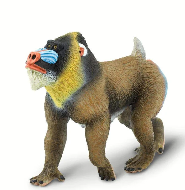 MANDRILL