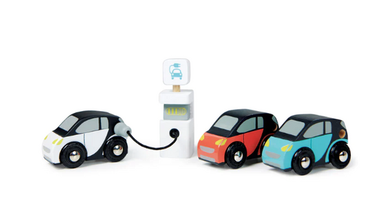 TENDER LEAF SMART CAR SET