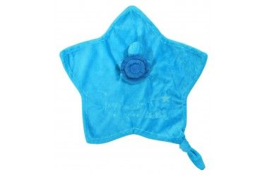 CLOUD B PEAKABOO LOVIE BLUE TURTLE