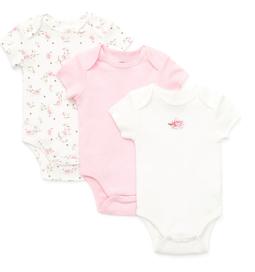 ROSE 3 PACK BODYSUIT