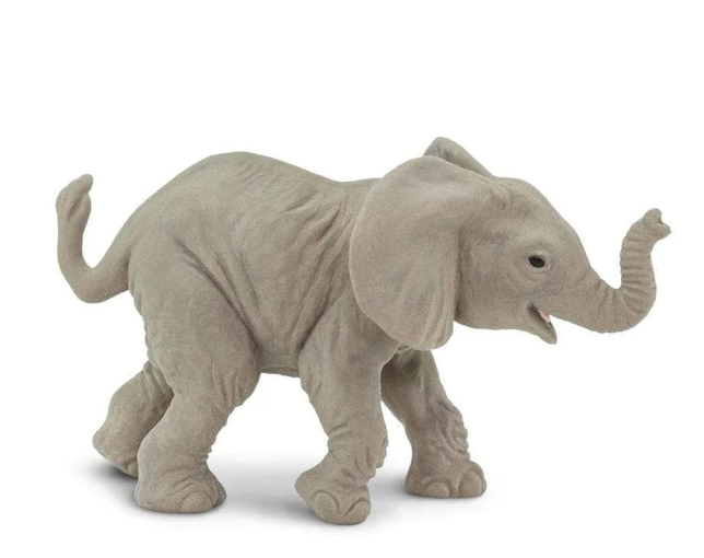 AFRICAN ELEPHANT BABY