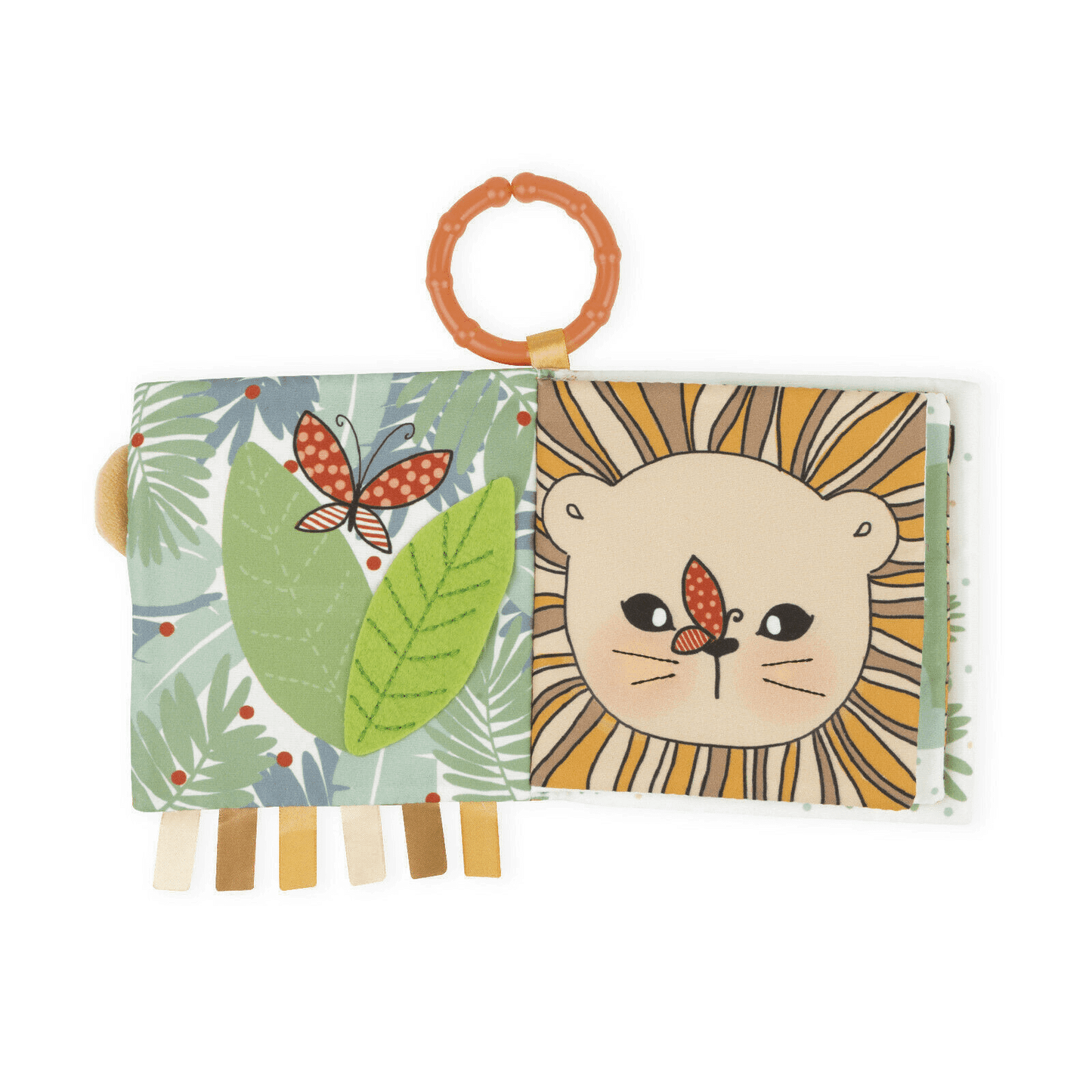 ACTIVITY BOOK - THE CURIOUS LION