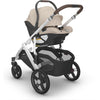 UPPABABY ARIA V2 INFANT CAR SEAT - EVELYN