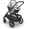 UPPABABY ARIA V2 INFANT CAR SEAT - EVELYN