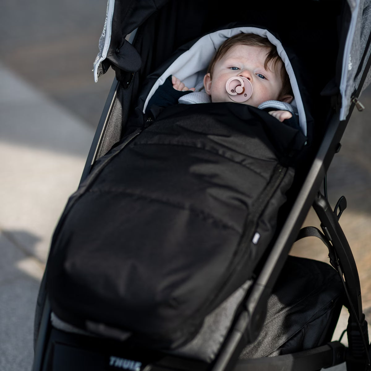 THULE NEWBORN NEST