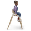 BUGABOO GIRAFFE COMPLETE