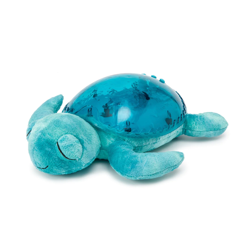 TRANQUIL TURTLE AQUA