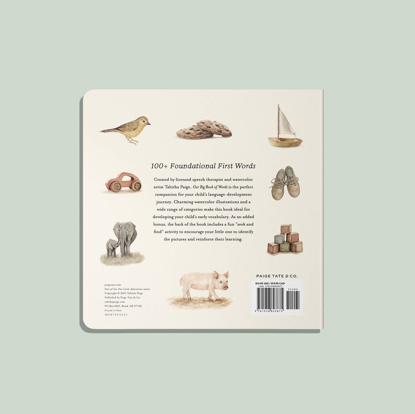 OUR BIG BOOK OF FIRST WORDS