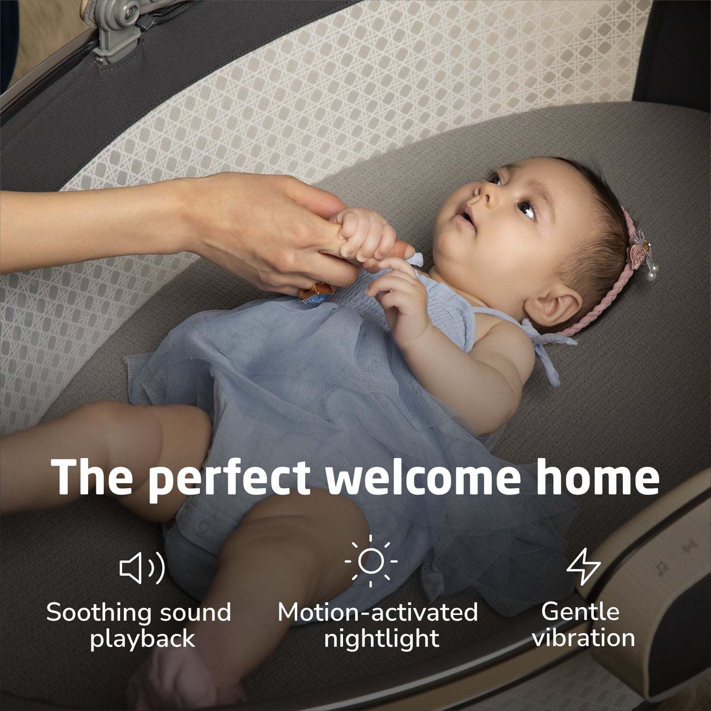 MAXI-COSI KINDRED SIBIA BASSINET