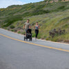 BUMBLERIDE SPEED JOGGING STROLLER