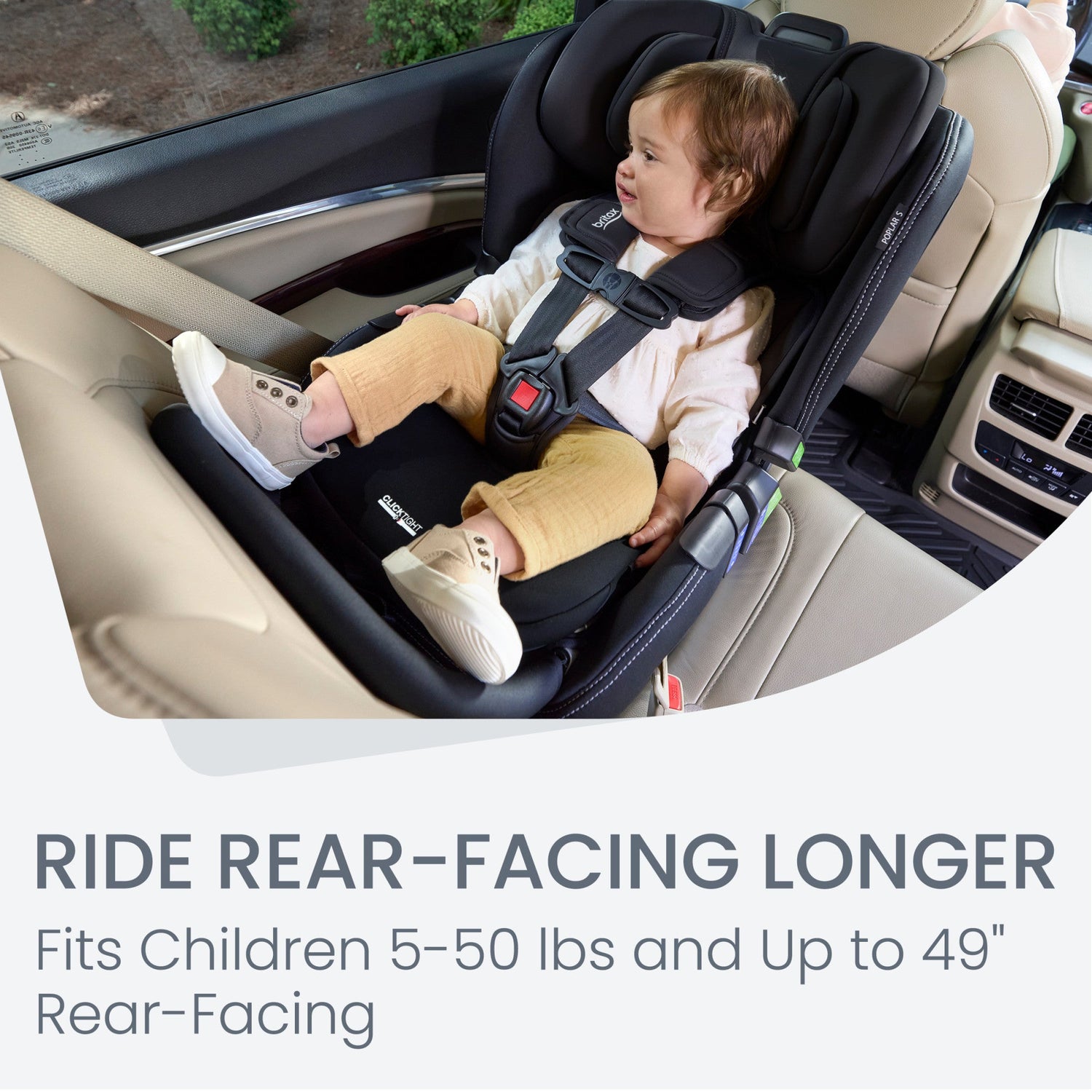 britax infant cowmooflage car seat Britax Poplar S Convertible Car Seat