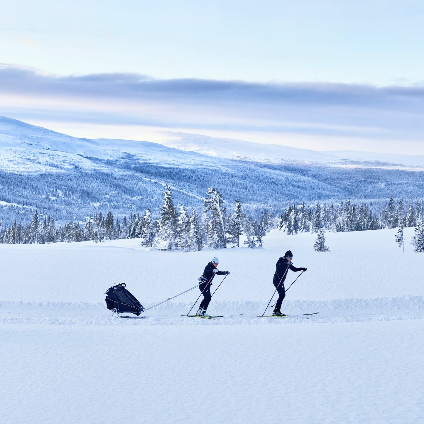 THULE CHARIOT SKI KIT | SPORT / CROSS / LITE