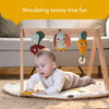 TINY LOVE LUXE DEVELOPMENTAL GYMINI | GARDEN OF ADVENTURES