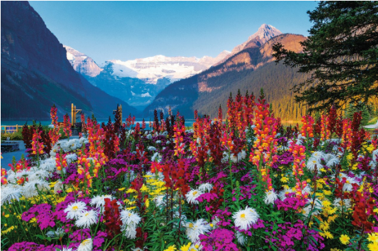 FLOWERY MOUNTAINS PUZZLE