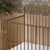 Winston 4-in-1 Convertible Crib in Heirloom Sage