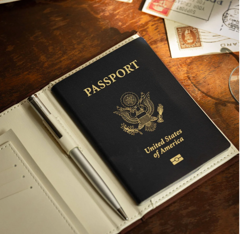 THE TALE OF PETER RABBIT BY BEATRIX POTTER PASSPORT/NOTEBOOK  WALLET