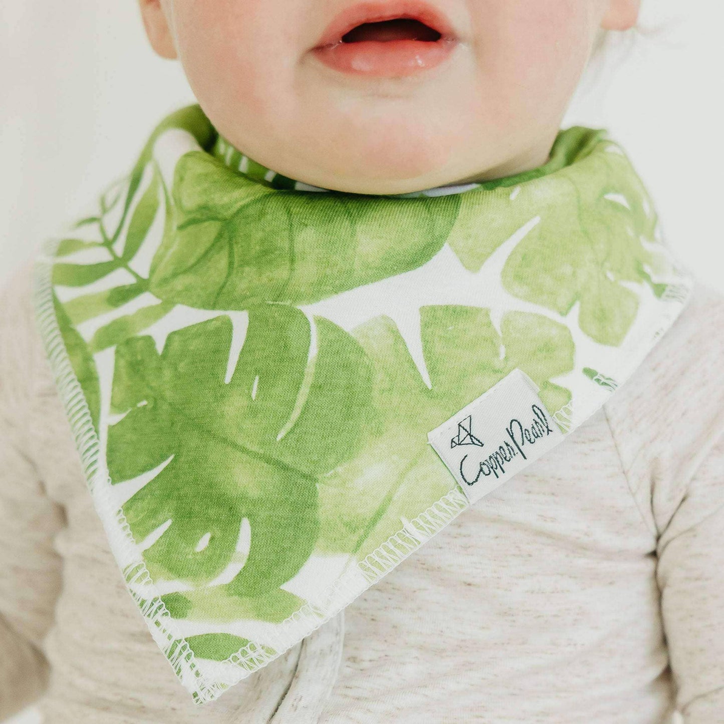 COPPER PEARL NOAH BABY BANDANA BIB SET