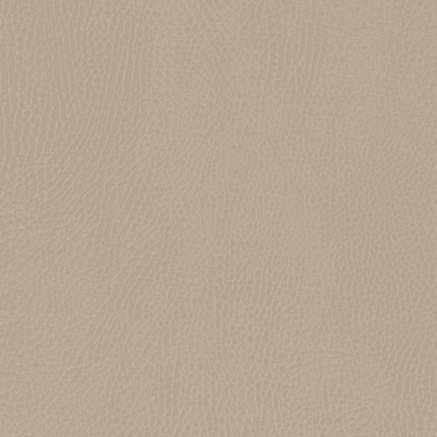 M26834GMLB,Babyletto,babyletto x GATHRE Capsule Bassinet in Millet