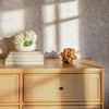 Marin with Cane 6 Drawer Assembled Dresser in Warm White and Honey Cane