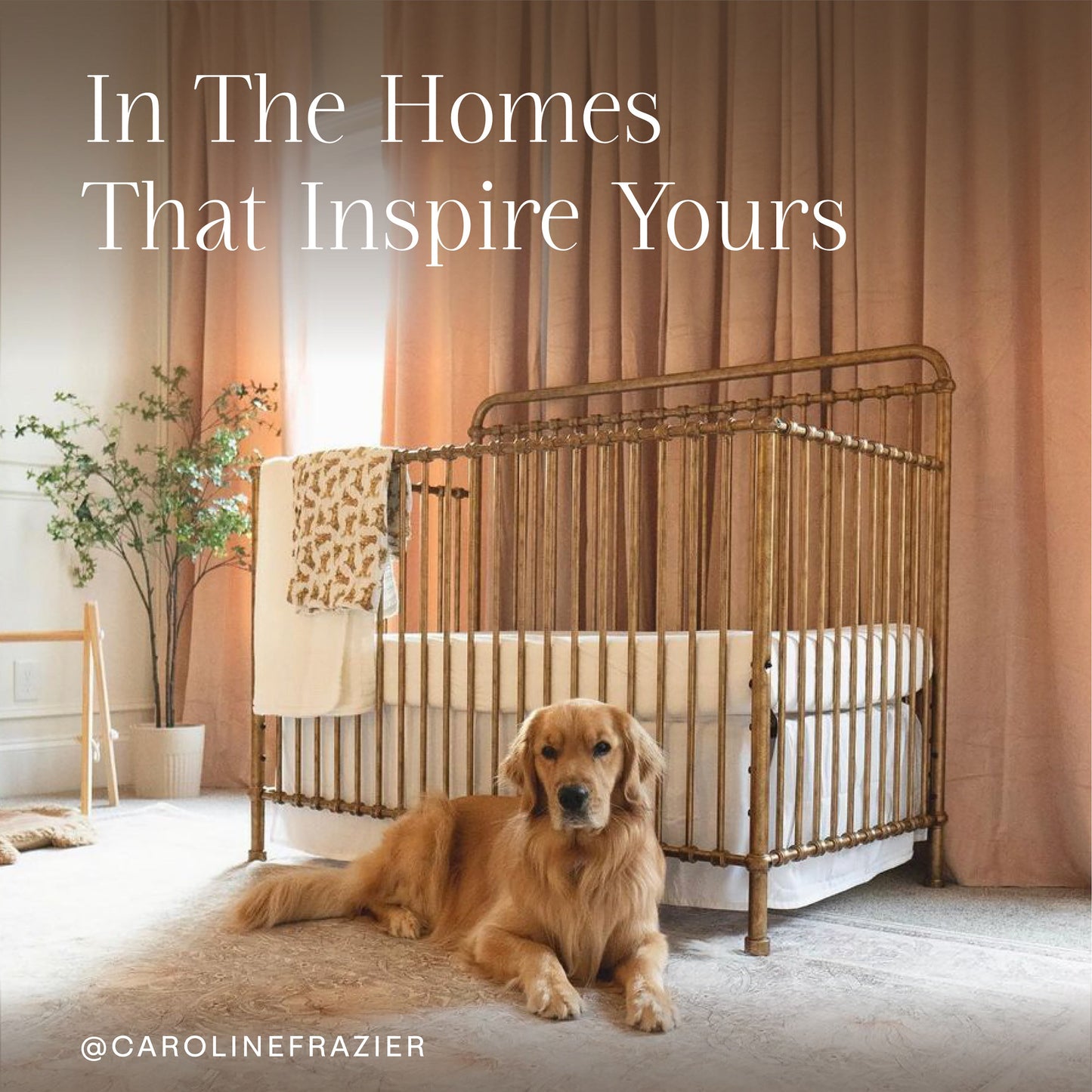 Winston 4-in-1 Convertible Crib in Heirloom Sage