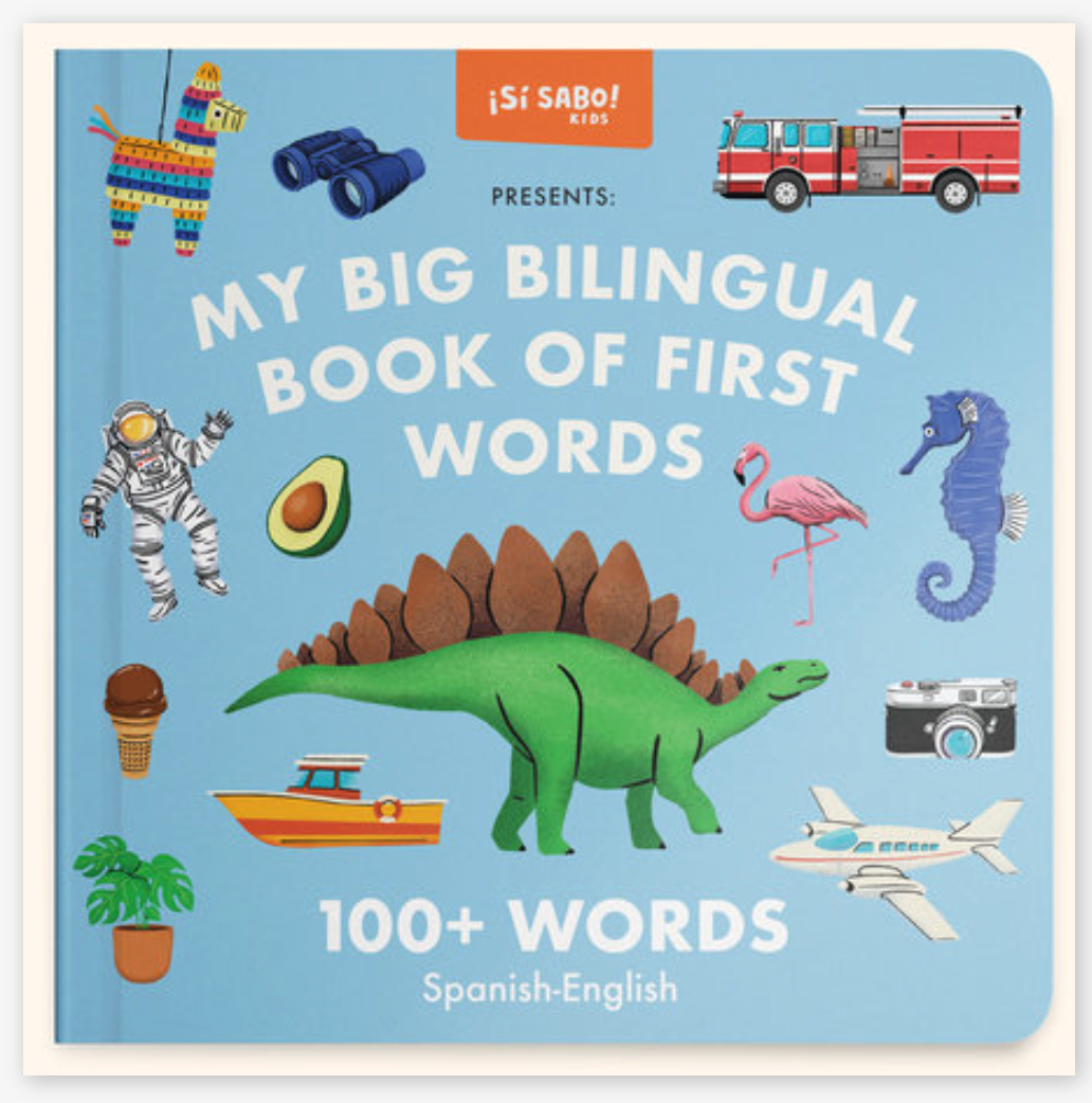 BIG BILINGUAL BOOK FIRST WORDS