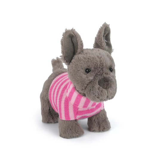 MON AMI DARCY FRENCH BULLDOG