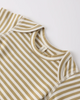 QUINCY MAE SHORT SLEEVE BODYSUIT PACK CARNIVAL, HONEY STRIPE