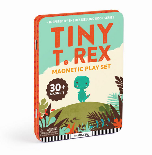 TINY T REX MAGNETIC PLAY SET