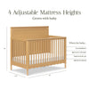 NAMESAKE AMBROSIA 4-IN-1 CONVERTIBLE CRIB