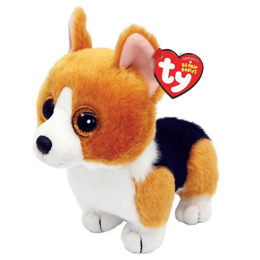 COLIN CORGI DOG