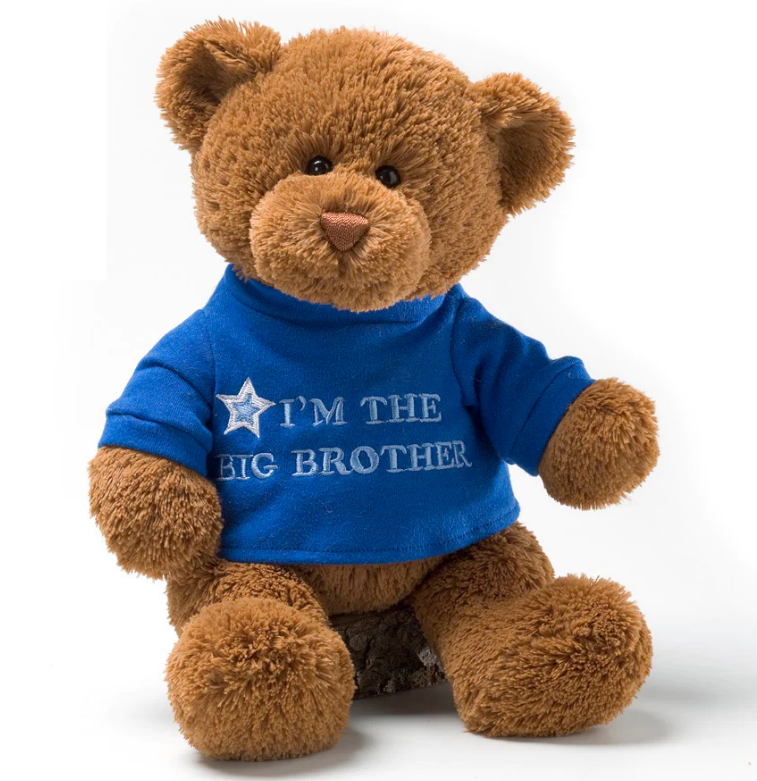 BIG BROTHER BEAR, 12 INCH