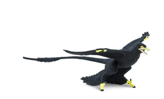 MICRORAPTOR