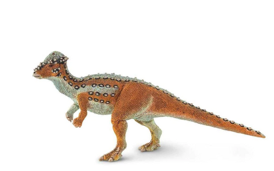 PACHYCEPHALOSAURUS