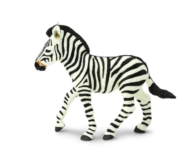 ZEBRA FOAL