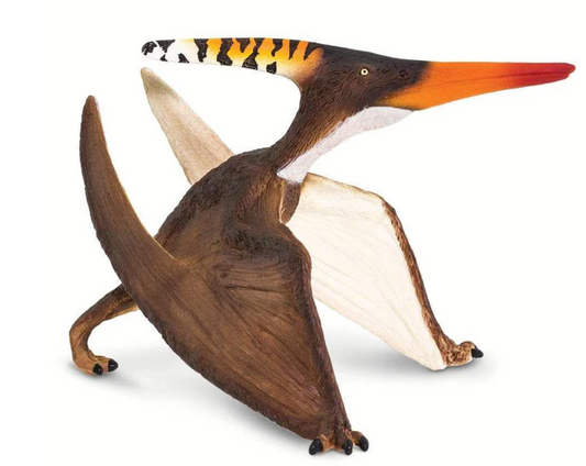 PTERANODON