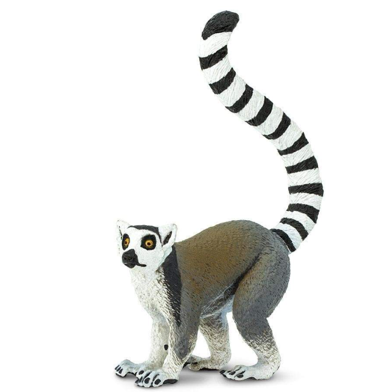 RING-TAILED LEMUR